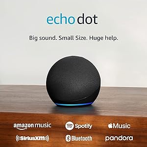 Amazon Echo Dot (newest model)