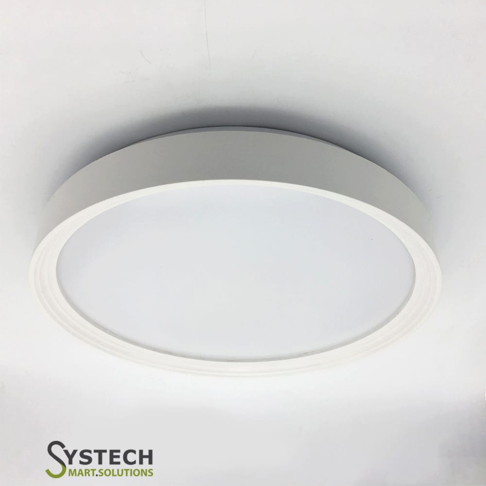 Motion Sensor Ceiling Light House